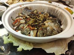 -蔼若春.传承三十年云南菜(金碧公园店)