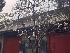 -万寿八仙宫