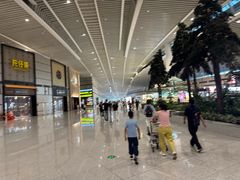 -青岛胶东国际机场