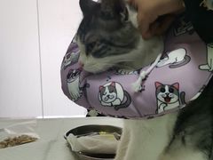 -宠颐生·恒爱宠物医院(静海店)