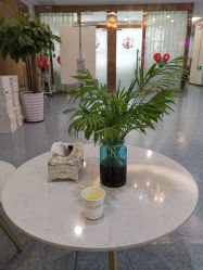 -痘院长·祛痘·皮肤管理