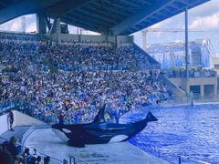 -上海海昌海洋公园