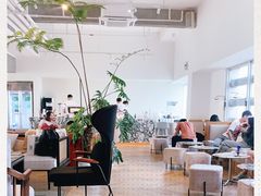 -COFFEEOLOGY咖啡学(天银店)