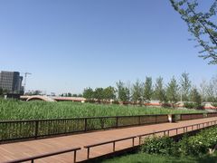 -西海子公园