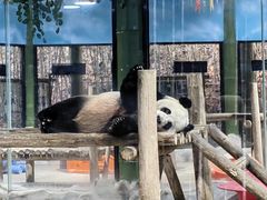 -栾川竹海野生动物园