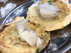 扇贝-老虎滩大连海鲜烧烤(建邺云锦路总店)