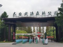 -黄海国家森林公园