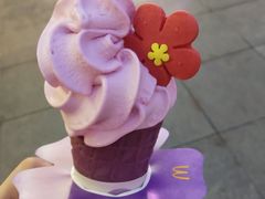 -麦当劳(小白楼店)