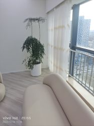 -HEYAN荷妍专业脱毛连锁机构