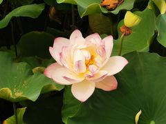 -成都市文化公园
