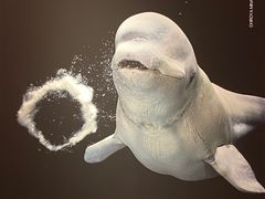 -中海环宇荟
