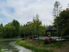 -尚贤河湿地