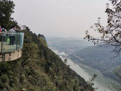 -铁山坪森林公园