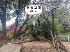 -宁波野生动物园
