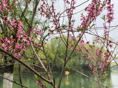 -天鹅湖体育公园