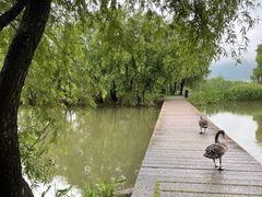 -长兴太湖图影湿地文化园