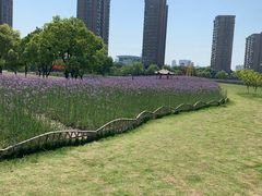 -杭州城北体育公园