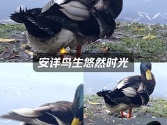 -月牙潭公园