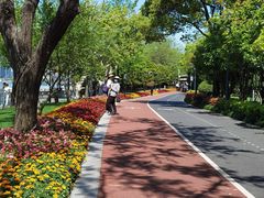 -北外滩滨江绿地