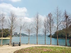 -日月潭