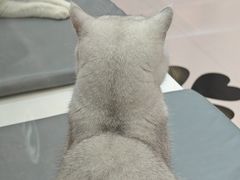 -福田卓悦INTOWN购物中心