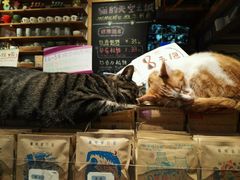 android_upload_pic-猫的天空之城概念书店(西塘古镇店)