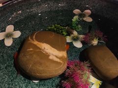 -胡桃里乐队酒馆(鎏嘉码头店)