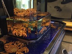 -蟹道乐(道顿堀本店)