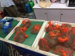 -德清诚信农产品莫干湖甲鱼直销店