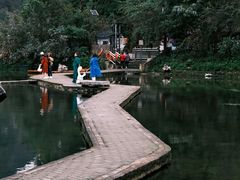 -靖西鹅泉风景区