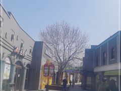 -茶大椰·椰子茶(星悦荟店)