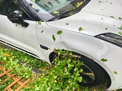 -鲨鱼皮汽车凹陷玻璃修复(静安店)