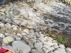 -咸阳湖景区-古渡公园