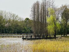 -长广溪湿地公园