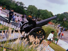 -吴淞炮台湾湿地森林公园烧烤区