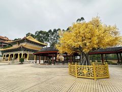 -广东圆玄道观