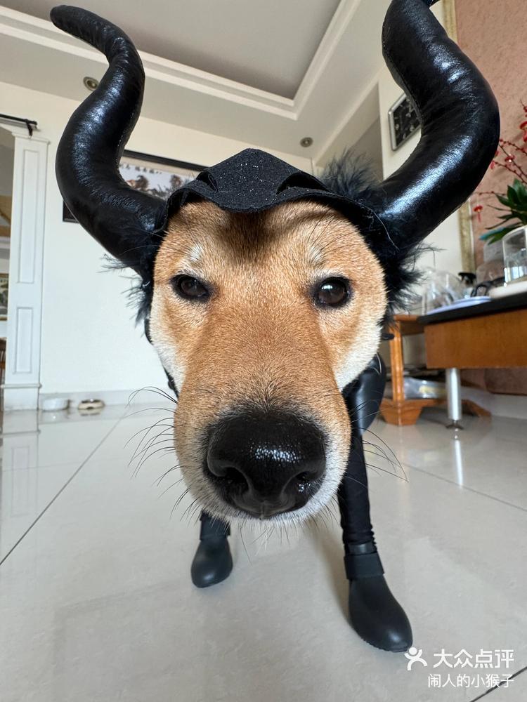 闹人的小猴子 1月10日 17:29 关注 我才不是女巫我是仙女教母 「韩系