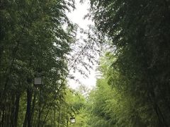 -苏州环秀晓筑养生度假村