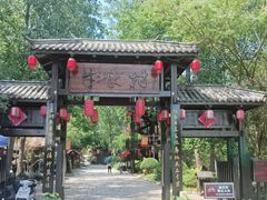 -合肥滨湖国家森林公园