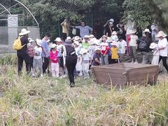 -洪湖家庭农场·团建·露营·会议