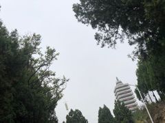 -原山国家森林公园