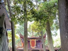 -都江堰普照寺