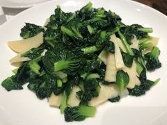 -张生记(丁香国际店)