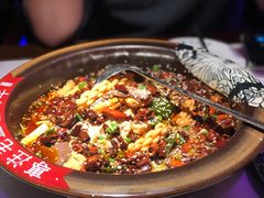 毛血旺-今朝桃花醉川菜小酒馆(龙湖天街店)