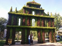 -武清南湖绿博园