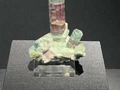 -山东博物馆