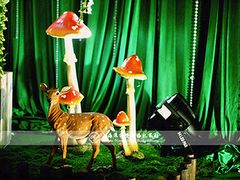 上海浪漫爱都婚礼策划-白玉兰酒店(上海田子坊马当路地铁站店)