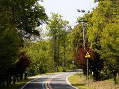 -南京金牛湖风景区