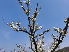 -宝界山林公园