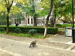 -山东大学(趵突泉校区)